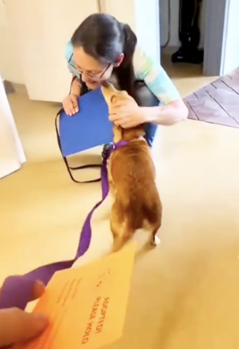 Dogs Reaction To Being Adopted Will Make You Cry Happy Tears